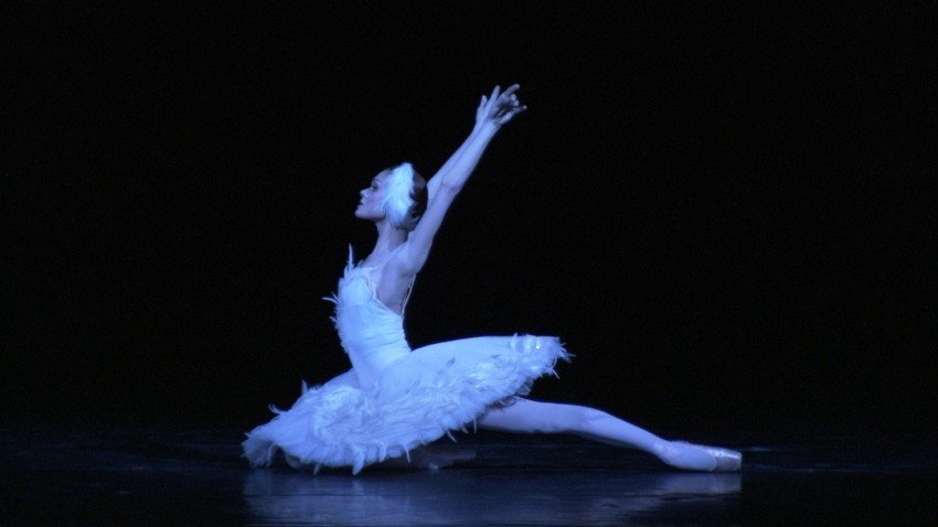 the dying swan